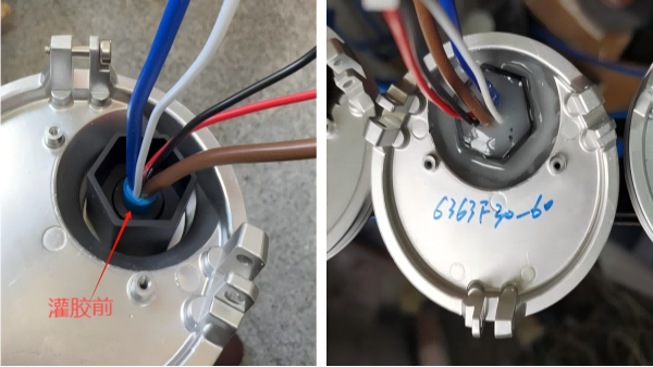 F30-60 多芯导线灌胶